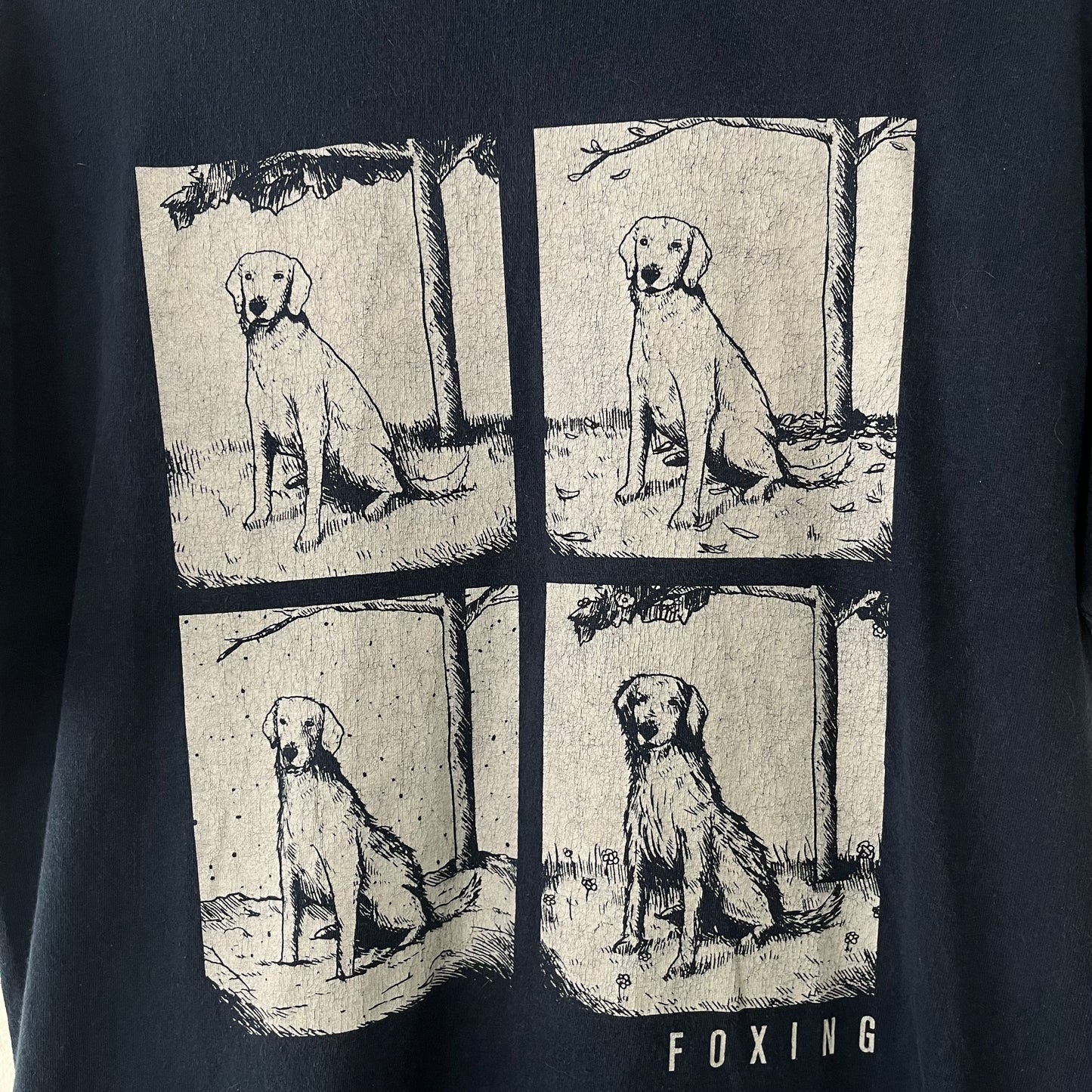 Foxing Band T-Shirt Large 2010s