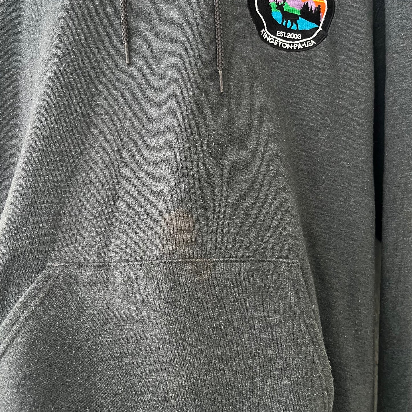 Title Fight Deer Embroidered Champion Band Hoodie Medium